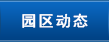 园区动态