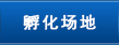 孵化场地