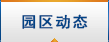 园区动态