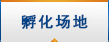 孵化场地
